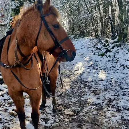 La Longere Du Moulin Holiday home Laburgade