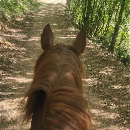 La Longere Du Moulin * Laburgade