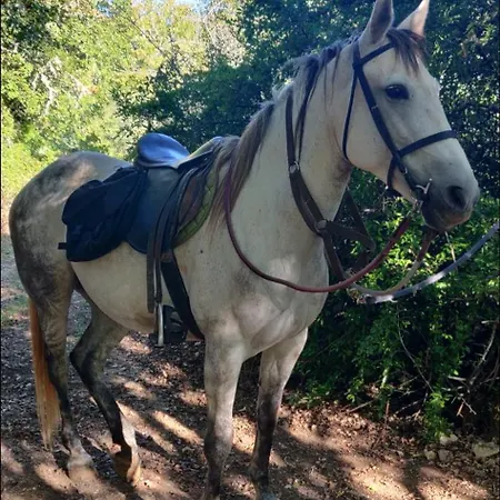 La Longere Du Moulin Holiday home Laburgade