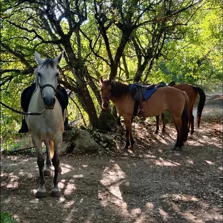 La Longere Du Moulin Holiday home