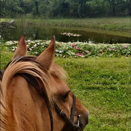 Holiday home La Longere Du Moulin *